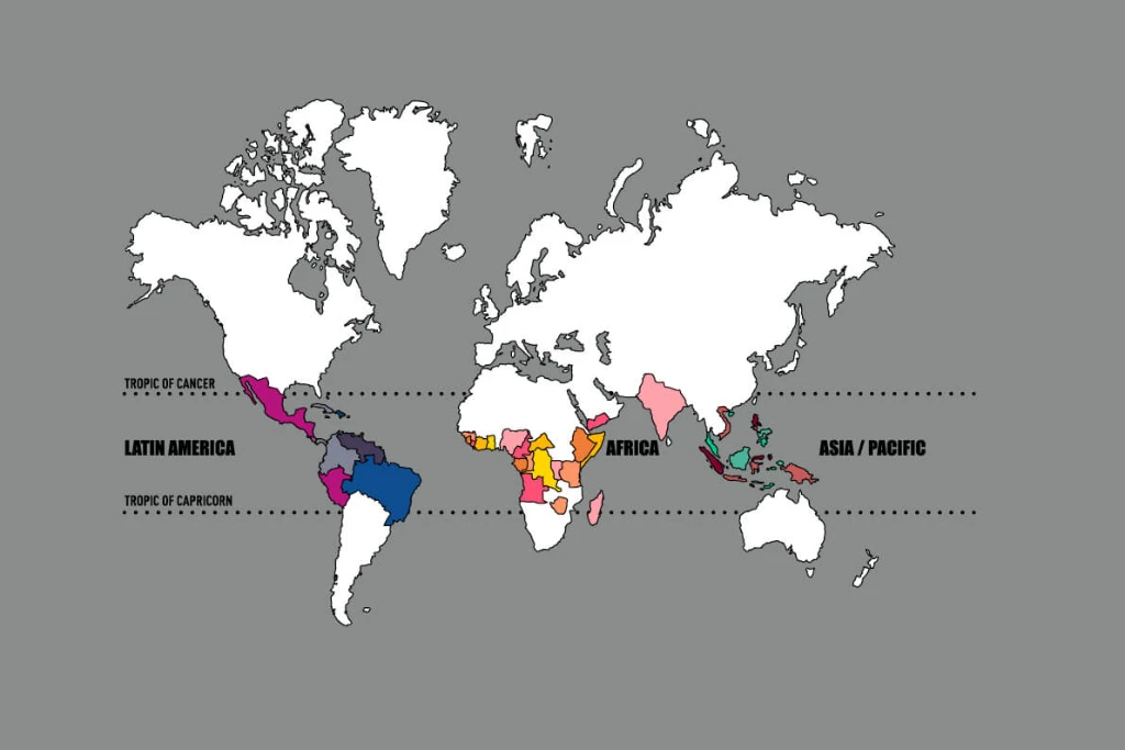 Coffee Belt &amp; background 72dpi.jpg