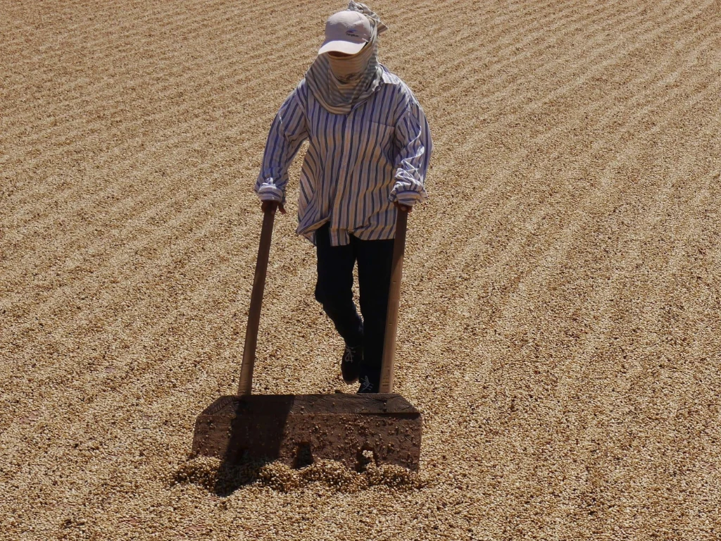 ___Day 4 visit J Hill plantation &amp; Mills El Salvador (15).13135073047640875950.jpg