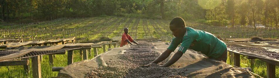 Medium-Selecta Coffee Fund 2020 303.jpg