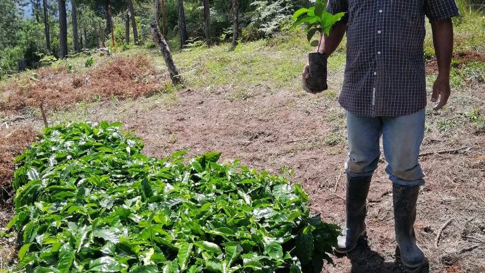 WhatsApp Image 2022-10-19 at 1.11.39 PM.jpeg